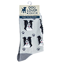 Dog Lover Socks Border Collie